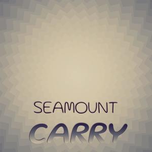 Seamount Carry