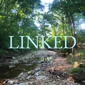 Linked (feat. Kwok)