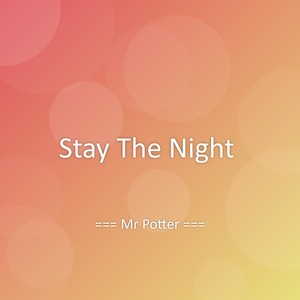 Stay The Night