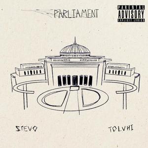 Parliament (feat. Toluhi) [Explicit]