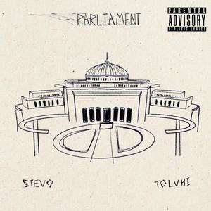 Parliament (feat. Toluhi) (Explicit)
