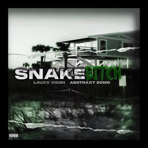 Snake ***** (feat. Abstraxt Domo) (Explicit)