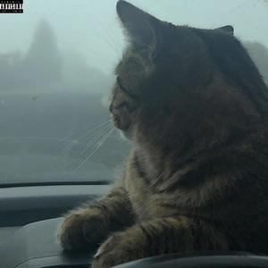 WANT IT BAD (Explicit)