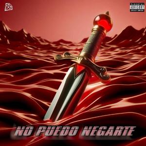 NO PUEDO NEGARTE (Explicit)