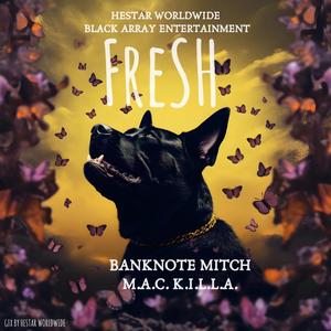 Fresh (feat. Banknote Mitch) (Explicit)