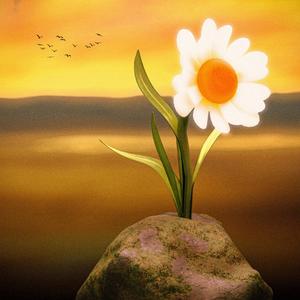 ដំណែងនៃបេះដូង | Where The Heart Lies