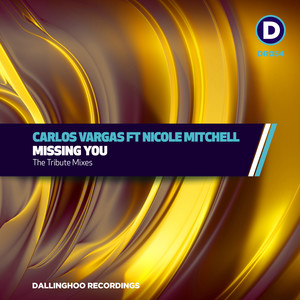Missing You (Steven Stone Remix)