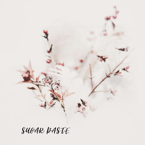 Sugar Paste
