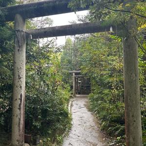 climbing.gym!* (feat. punk'em*) (Explicit)