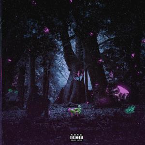 IDRCA(intro)