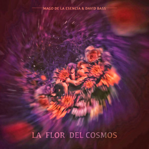 La Flor del Cosmos