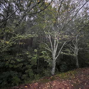 NoName .. (feat. Twain Swenson) (Explicit)