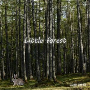 Little Forest