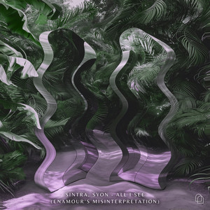 All I See (Enamour's Misinterpretation)