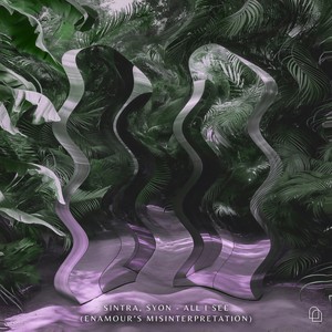 All I See (Enamour's Misinterpretation)