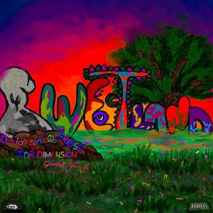 WETLAND (Explicit)