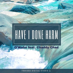 Have I Done Harm (feat. Chaddy Chad)