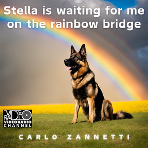 Stella is waiting for me on the rainbow bridge