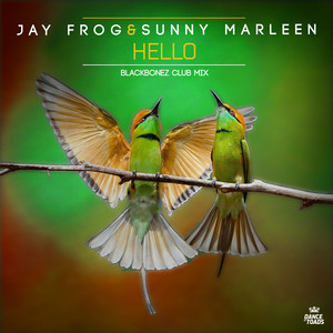 Hello (BlackBonez Extended Remix)