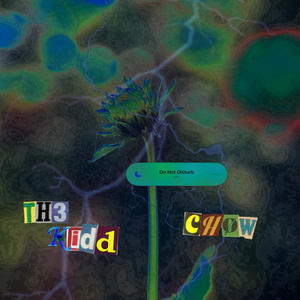 DND (feat. Th3Kidd) (Explicit)