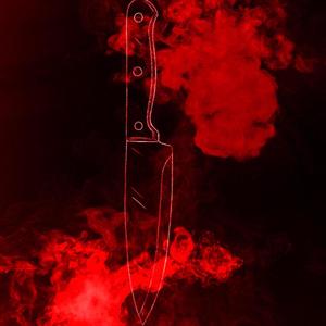 The Killer (Explicit)