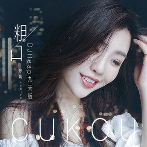 粗口 (DJheap九天版)
