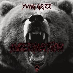 Hibernation
