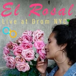 El Rosal (feat. Bárbara Martínez, Albert Alabedra, Olyda Ola, Bob DiGiacomo, Engin Gunaydin, Gonzalo Grau & Yusnier Sanchez Bustamente) (LIVE At Drom NYC|Live)