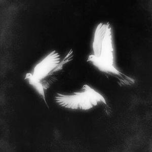 Lonely (feat. ilymaze) (Explicit)