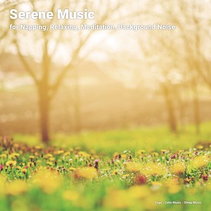 Serene Music for Napping, Relaxing, Meditation, Background Noise