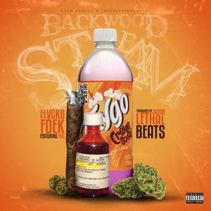 Backwood Steam(feat. YDG) (Explicit)