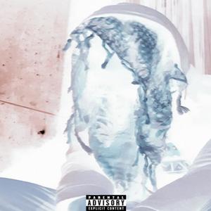 NO PILLOWTALKING, LIKE A BOSS (Explicit)