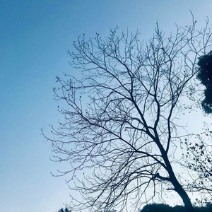 贝加尔湖畔 (二胡版)