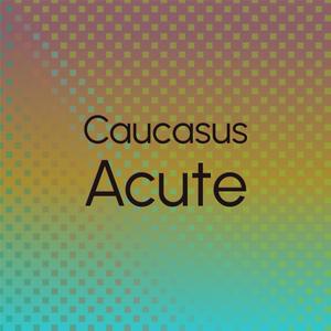 Caucasus Acute