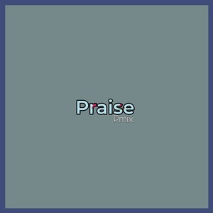 Praise