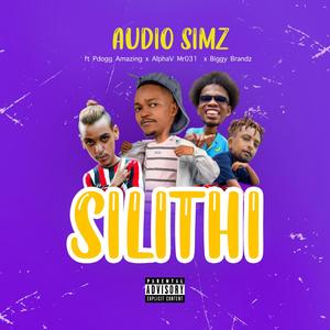Silithi (feat. Pdogg Amazing, Biggy Brandz & AlphaV_Mr031) (Explicit)