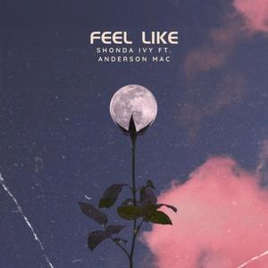 Feel Like (feat. Anderson Mac)