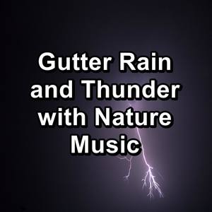 Medium Rain and Thunder and Nature Sounds Relaxing and Loopable for a 10 Hours Sleep