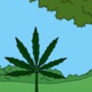 my favorite color green (Explicit)