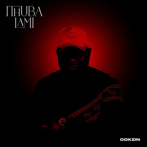 Masheleni (feat. Chillyboyrsa, Pava Rottiey, Renzovation, Mmfana Shukela, Blaqboy Musiq & Kon Fiella)