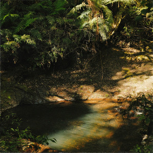 Hidden Stream
