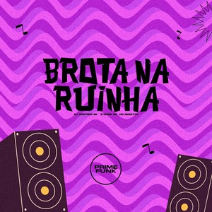 Brota Na Ruinha (Explicit)