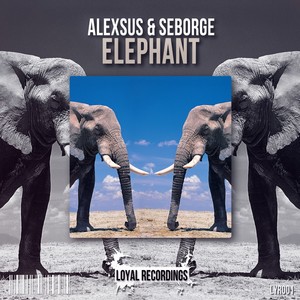 Elephant (Original Mix)