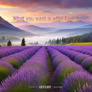 What i want is what u want (feat. Whitty Rsa, Slayer the vocalist, King kay, Mj ntwana ya kasi & Yung blood) (Radio Edit)