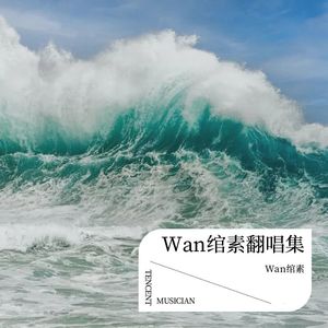 Wan绾素翻唱集