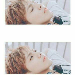 罗波潭边的故事