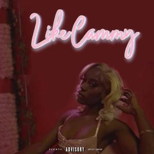 Like Cammy (Explicit)