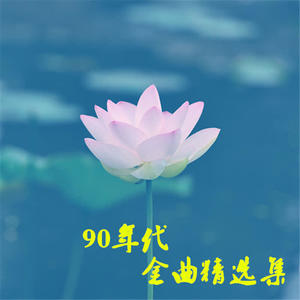 《很爱很爱你》刘若英-有声的木林
