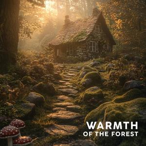 Warmth of the Forest