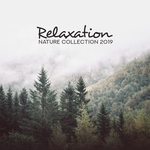 Relaxation Nature Collection 2019